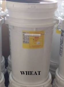 Hard White Spring Wheat, 50 lbs - Store Packaged