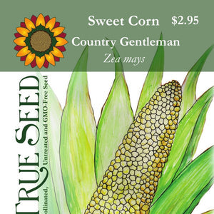 Corn - Sweet - Country Gentleman