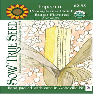 Flint Corn Seeds - Pennsylvania Dutch Butter Flavored Popcorn, ORGANIC