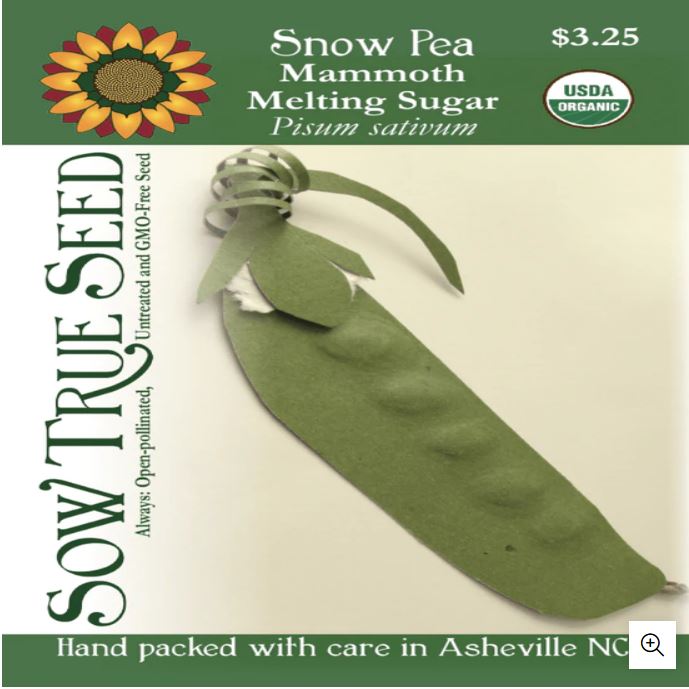 Snow Pea Seeds - Mammoth Melting Sugar, ORGANIC