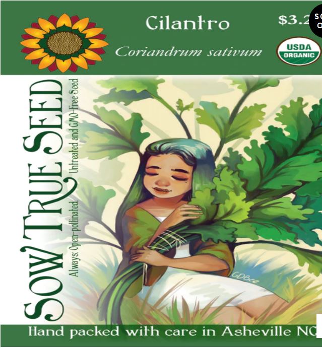 Cilantro Seeds - ORGANIC