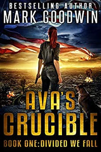 Divided We Fall: A Post-Apocalyptic Novel of America's Coming Civil War (Ava's Crucible Book 1) - Carolina Readiness