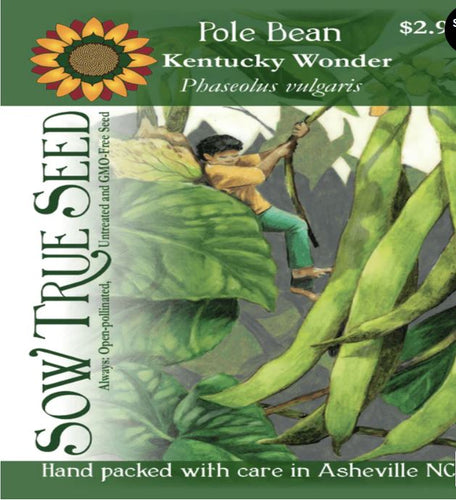 Pole Bean Seeds - Kentucky Wonder