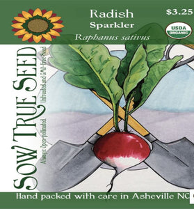 Radish Seeds - Sparkler, ORGANIC