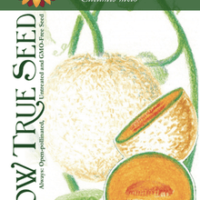 Melon - Edisto 47