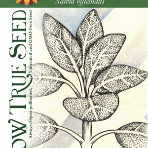 Sage Seeds - Broad Leaf Culinary