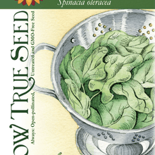 Spinach Seeds - Bloomsdale Long Standing