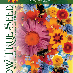 Flower Seed Mix - Bee Feed