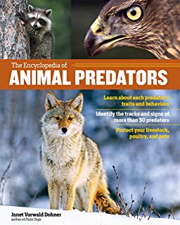 Animal Predators - Carolina Readiness