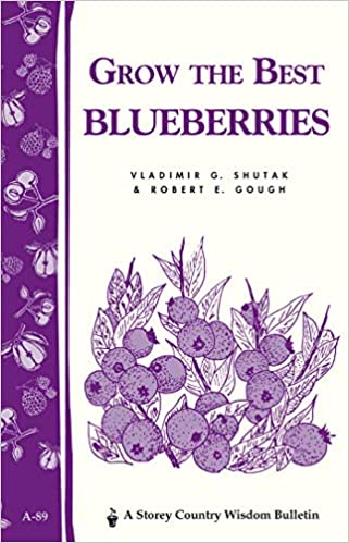 Grow the Best Blueberries