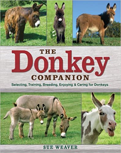 Donkey Companion