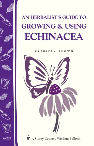 Growing & Using Echinacea