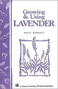 Growing & Using Lavender